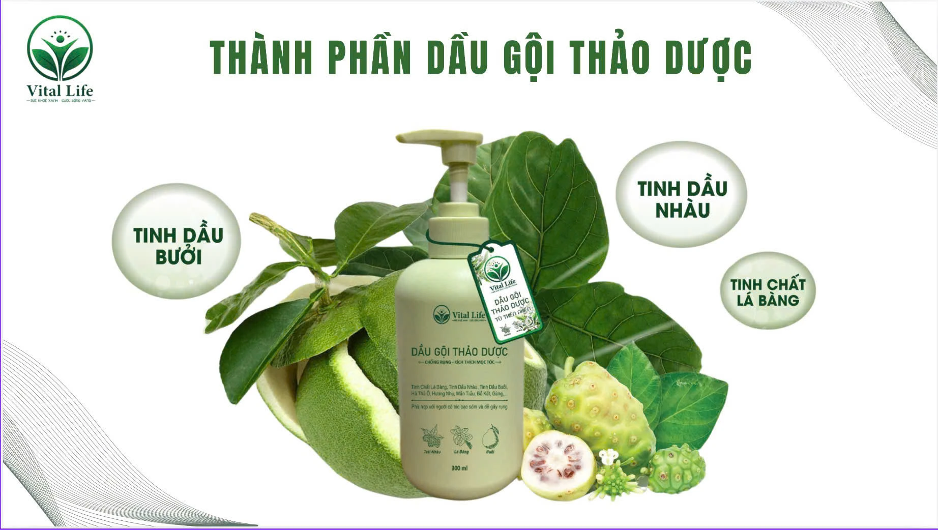 Sản phẩm