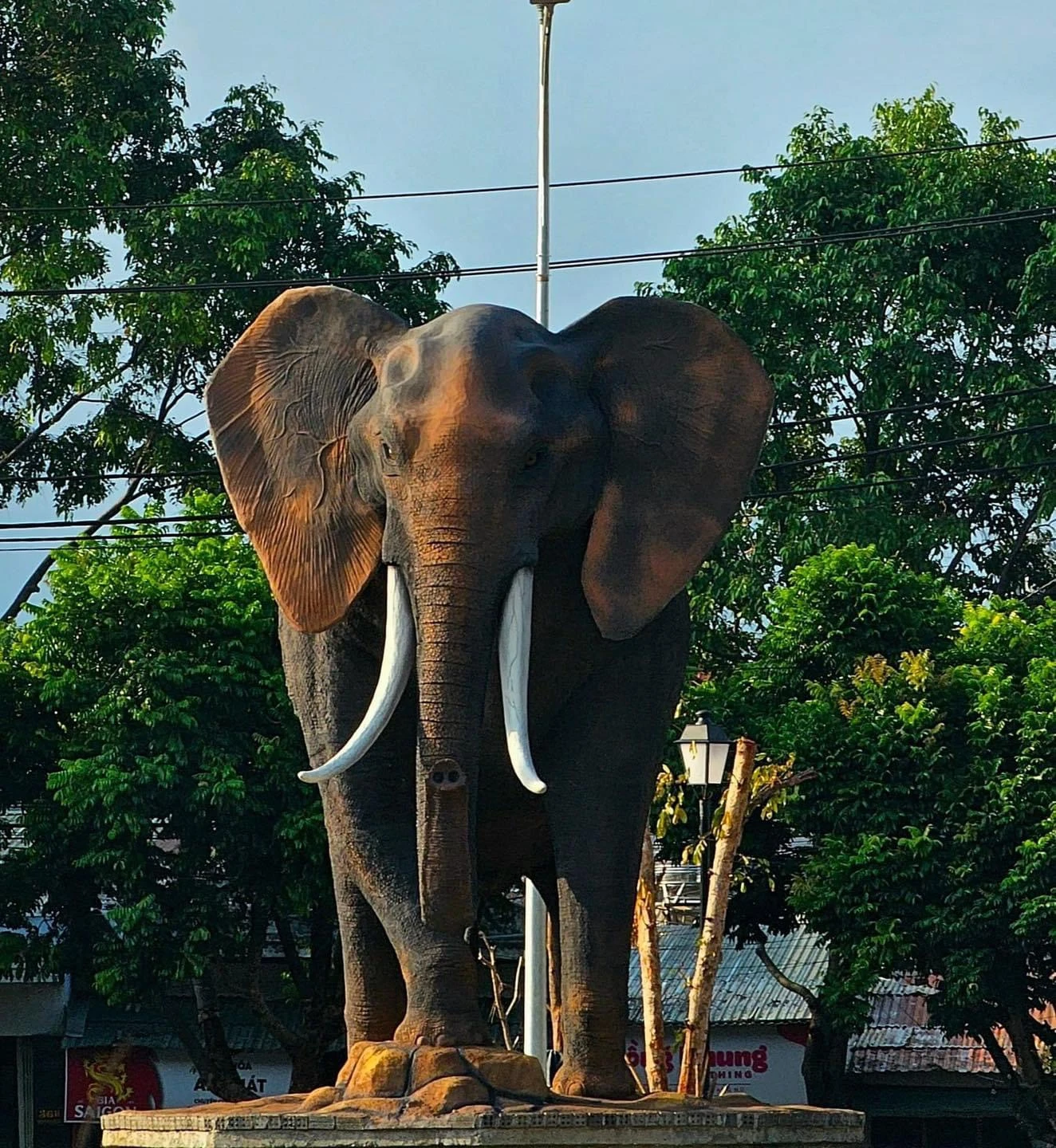 Cửa hàng